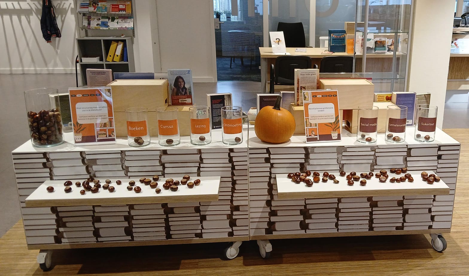 Tafel met vazen waarop stellingen staan. Met de omliggende kastanjes kun je je stem uitbrengen.