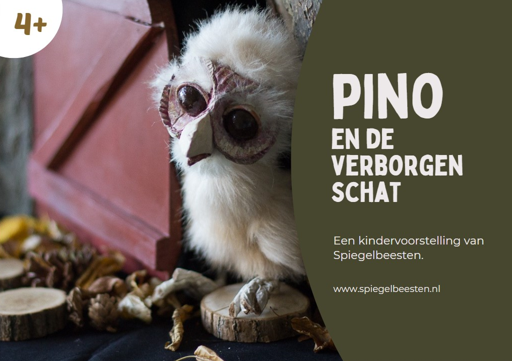 Kleutervoorstelling Pino en de verborgen schat